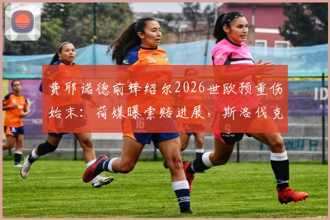 费耶诺德前锋绍尔2026世欧预重伤始末：荷媒曝索赔进展，斯洛伐克面临巨额赔偿，附受伤视频回放分析