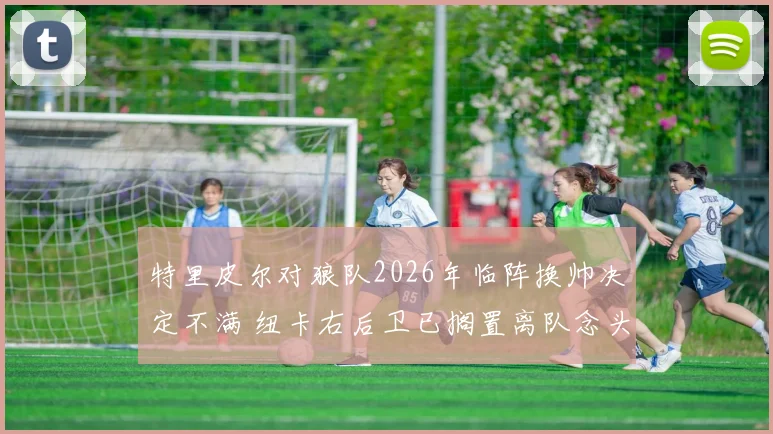 特里皮尔对狼队2026年临阵换帅决定不满 纽卡右后卫已搁置离队念头 英媒电讯报深度解读